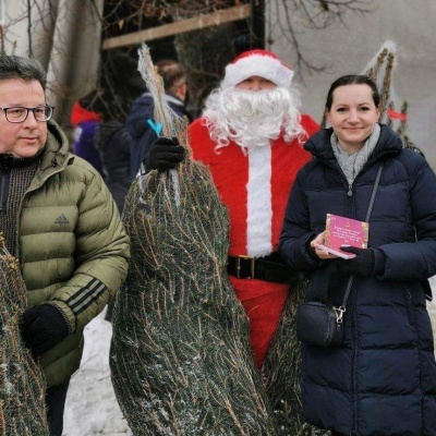 Bezpłatne choinki dla Łodzian